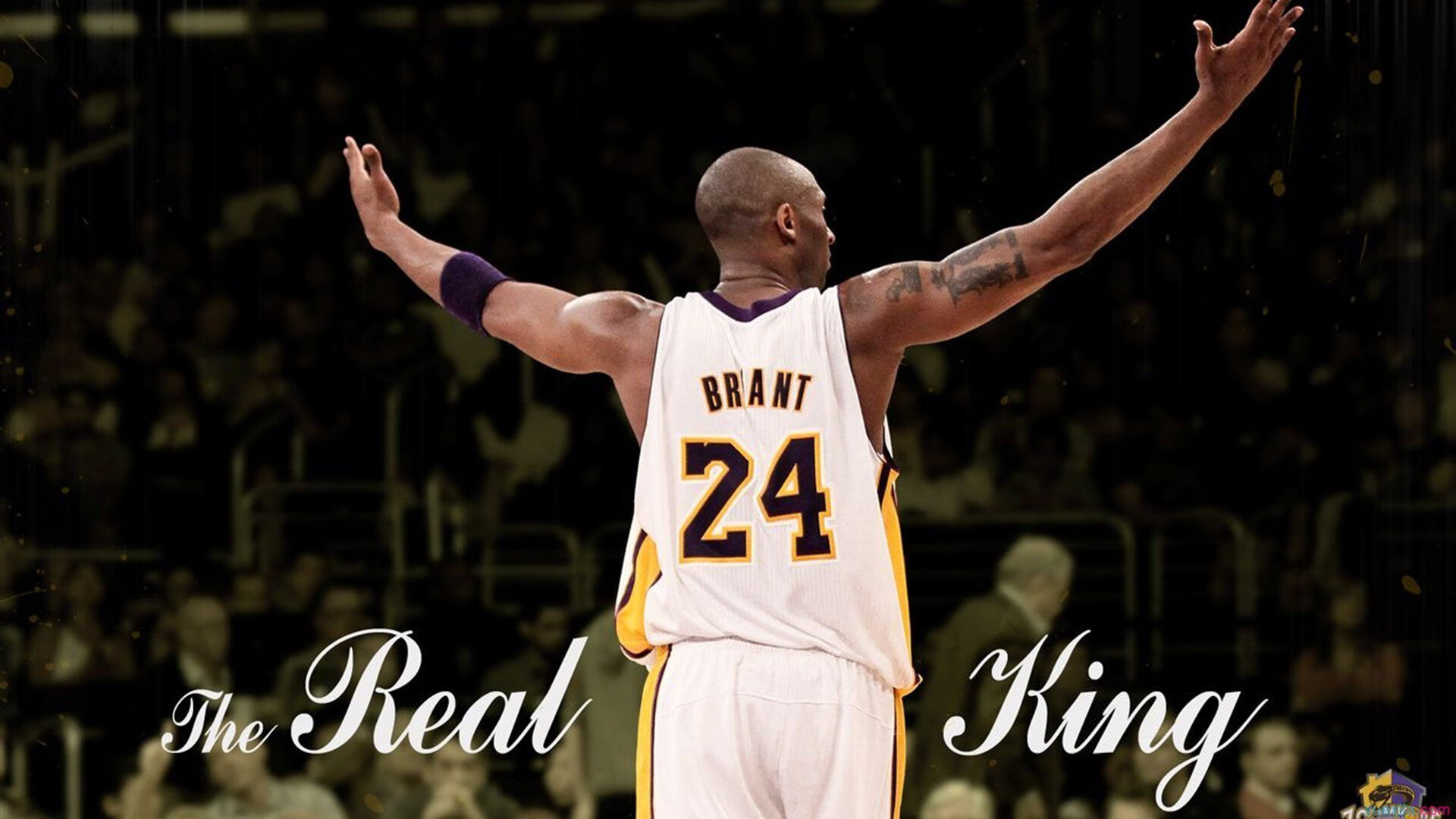 篮球明星今日新闻